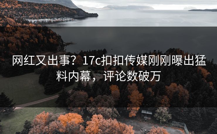 网红又出事？17c扣扣传媒刚刚曝出猛料内幕，评论数破万
