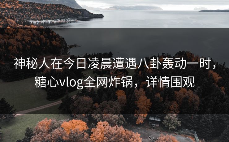 神秘人在今日凌晨遭遇八卦轰动一时，糖心vlog全网炸锅，详情围观