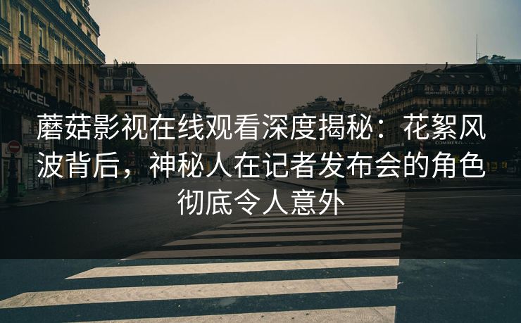 蘑菇影视在线观看深度揭秘：花絮风波背后，神秘人在记者发布会的角色彻底令人意外