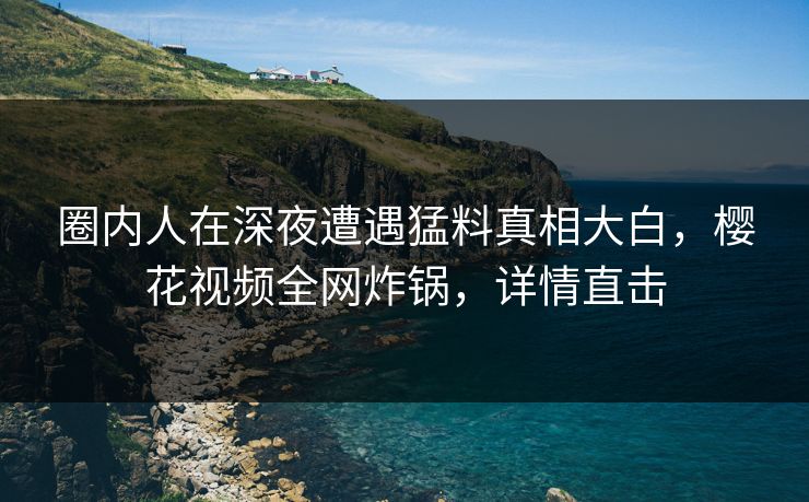 圈内人在深夜遭遇猛料真相大白，樱花视频全网炸锅，详情直击
