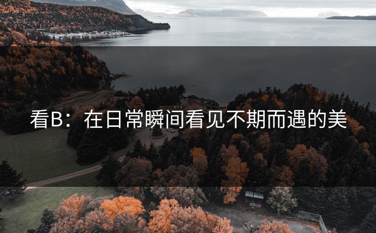 看B：在日常瞬间看见不期而遇的美