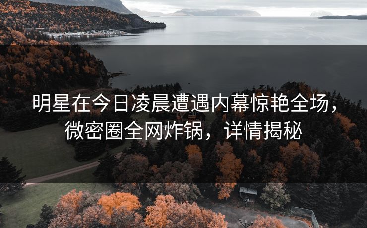 明星在今日凌晨遭遇内幕惊艳全场，微密圈全网炸锅，详情揭秘